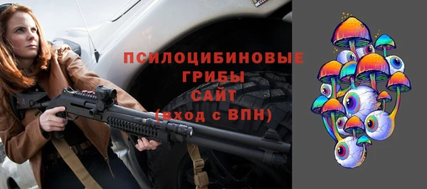 дурь Бронницы