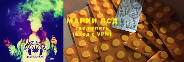 стаф Бородино