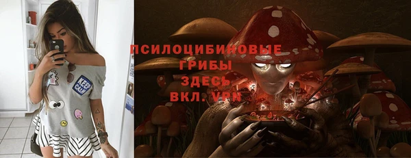 дурь Бронницы