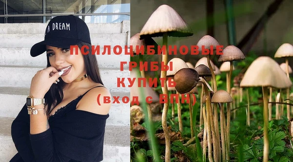 дурь Бронницы