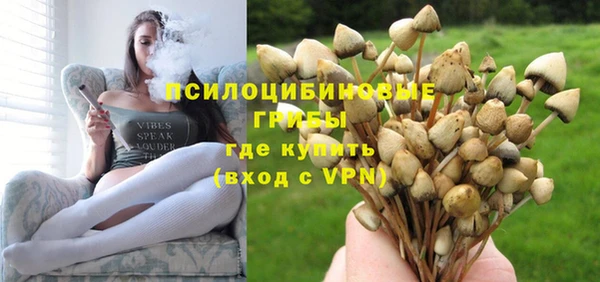 стаф Бородино
