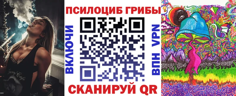 закладки  Выборг  мориарти наркотические препараты  Галлюциногенные грибы мицелий 