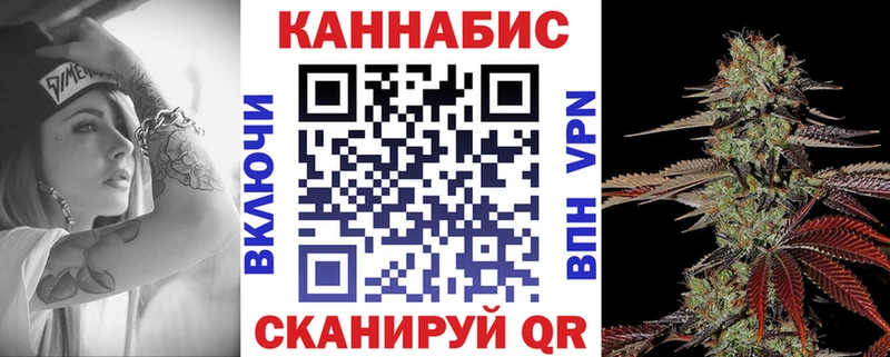 площадка как зайти  Выборг  Каннабис индика 